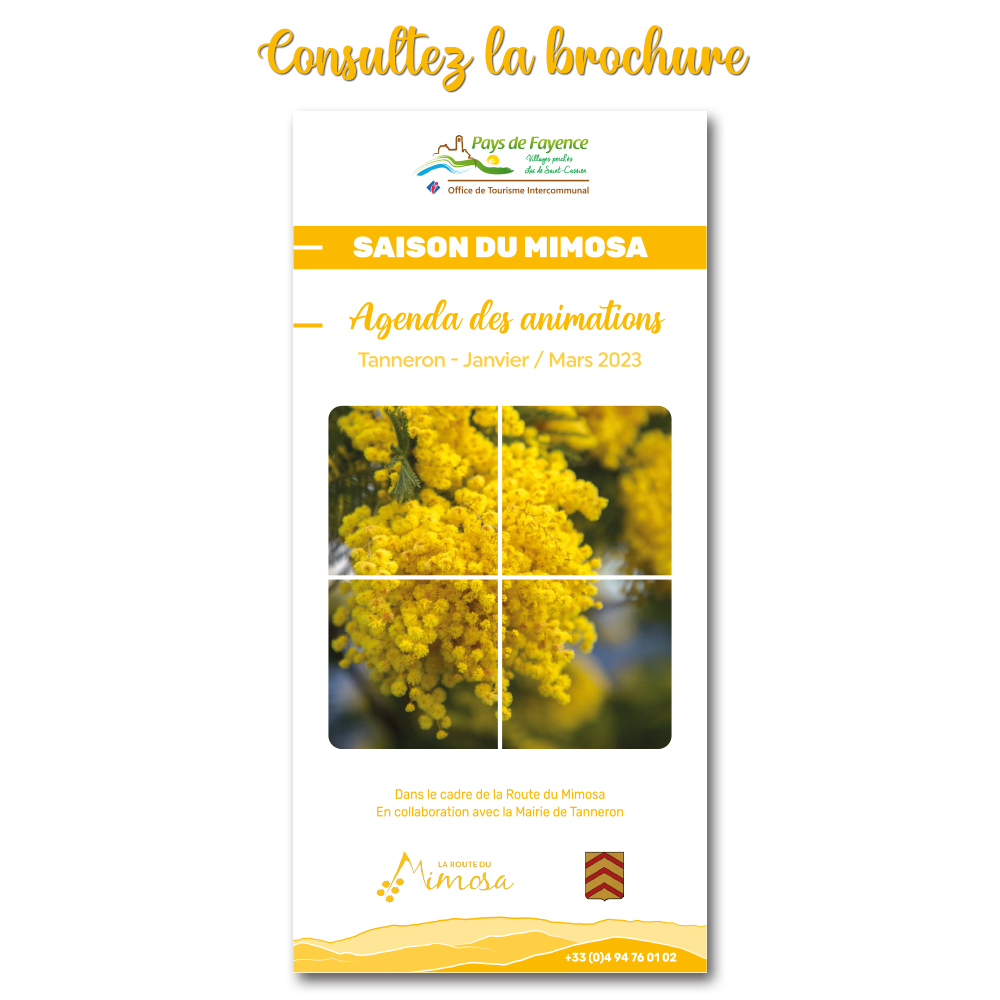 Brochure Animations Mimosa 2023 pour l'Office de Tourisme Intercommunal du Pays de Fayence