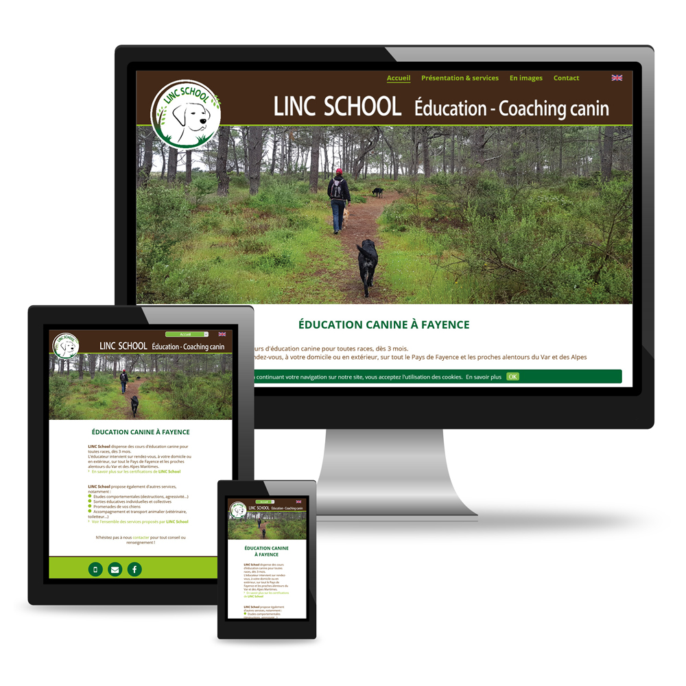 Site internet pour LINC School