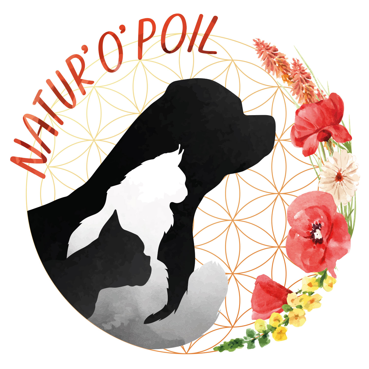 Logo personnalisé pour le service de toilettage à domicile Natur'o'Poil