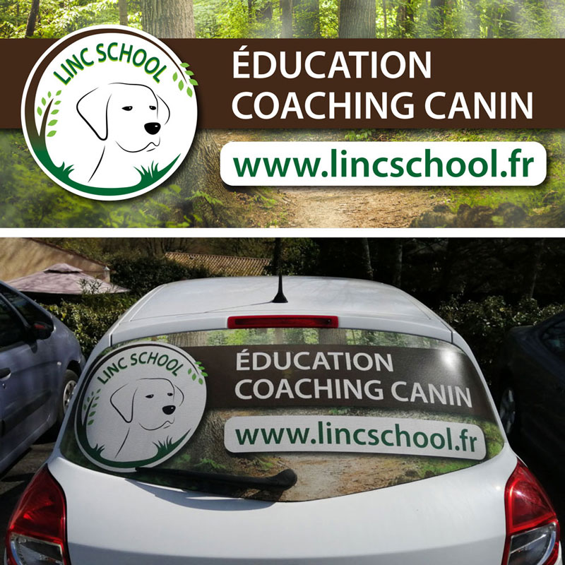 Marquage véhicule microperforé pour Linc School Coaching canin