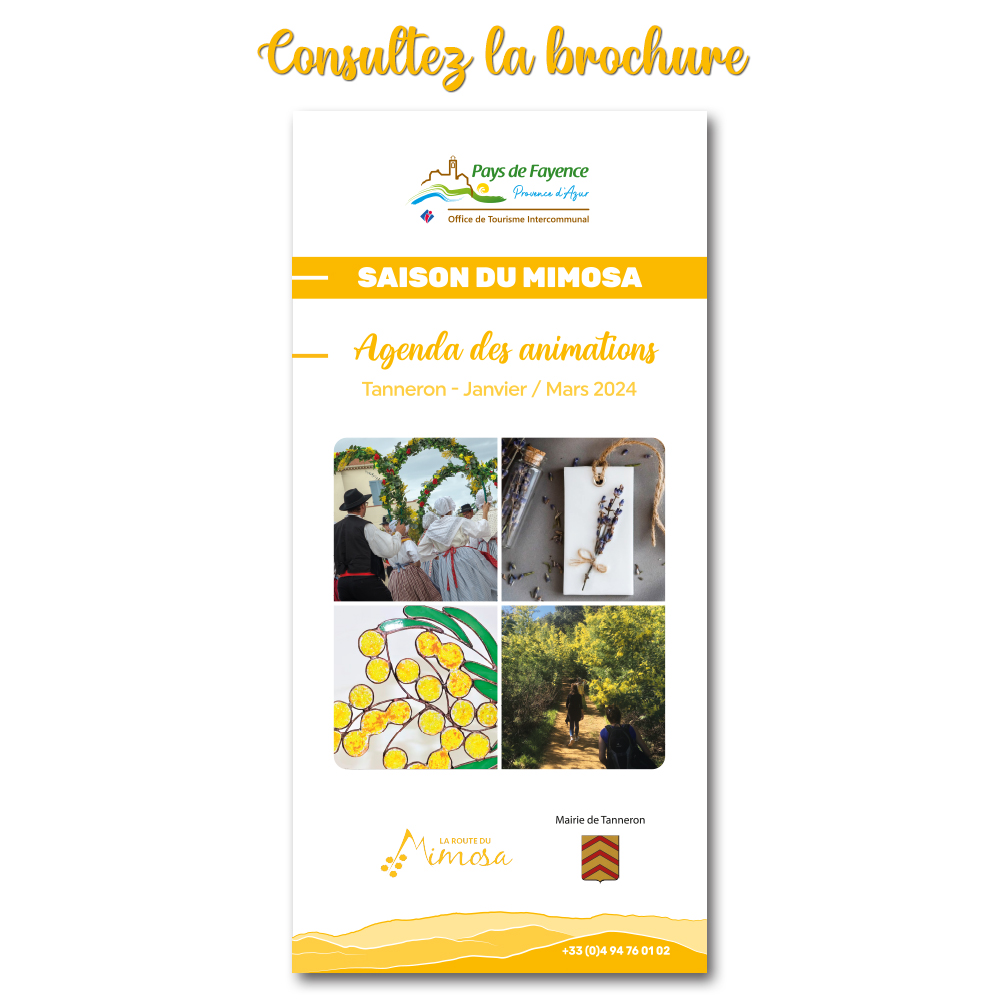 Brochure Animations Mimosa 2024 pour l'Office de Tourisme Intercommunal du Pays de Fayence